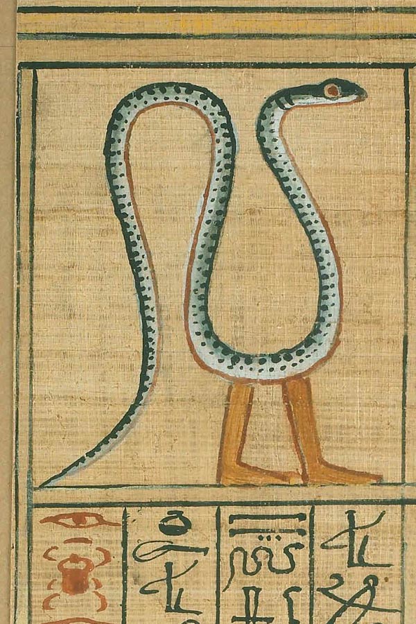 Egyptian soul eater snake